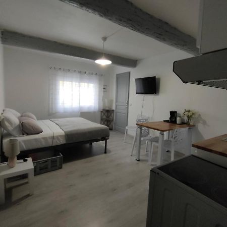Saint-Laurent-dʼAigouze Studio Entier מראה חיצוני תמונה